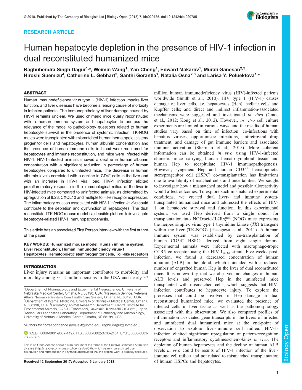 Human Hepatocyte Depletion in the Presence of HIV-1 Infection in Dual