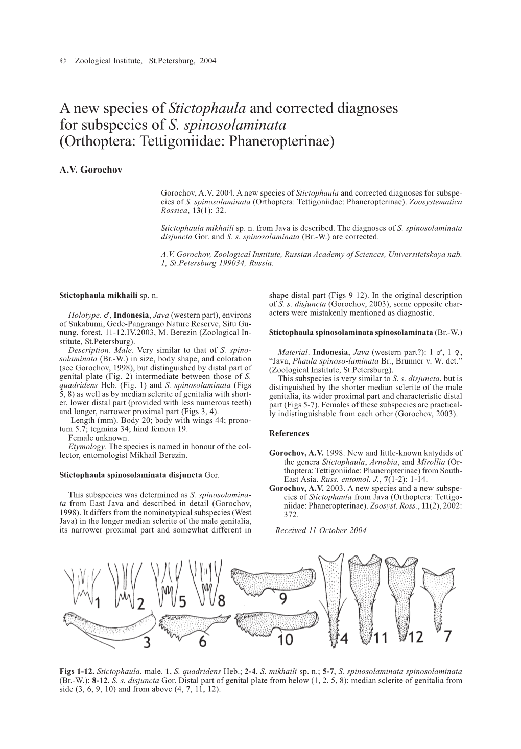 A New Species of Stictophaula and Corrected Diagnoses for Subspecies of S