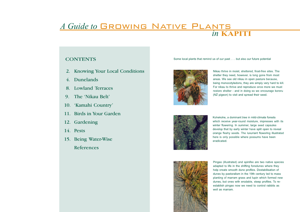 A Guide to Growing Native Plants in KAPITI