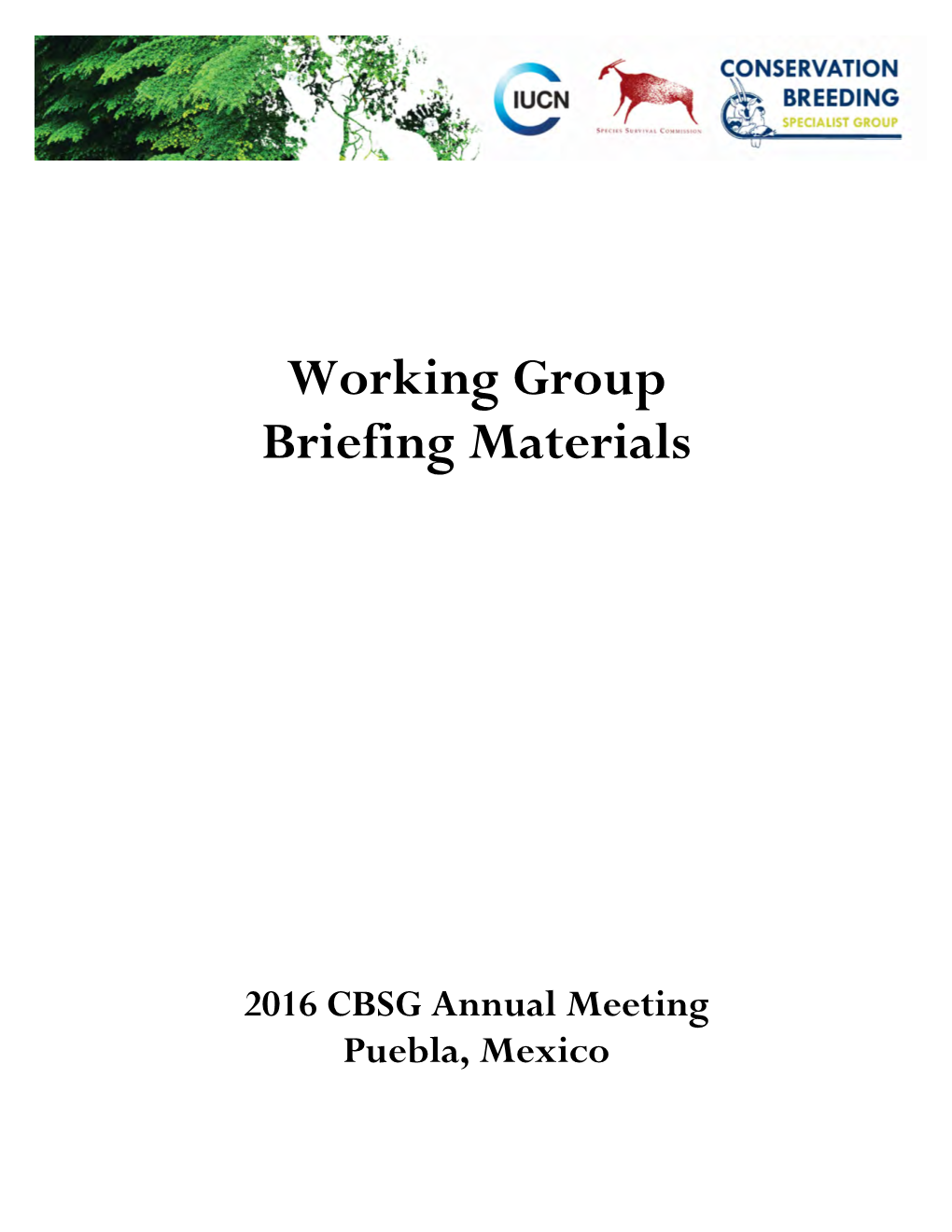 Working Group Briefing Materials