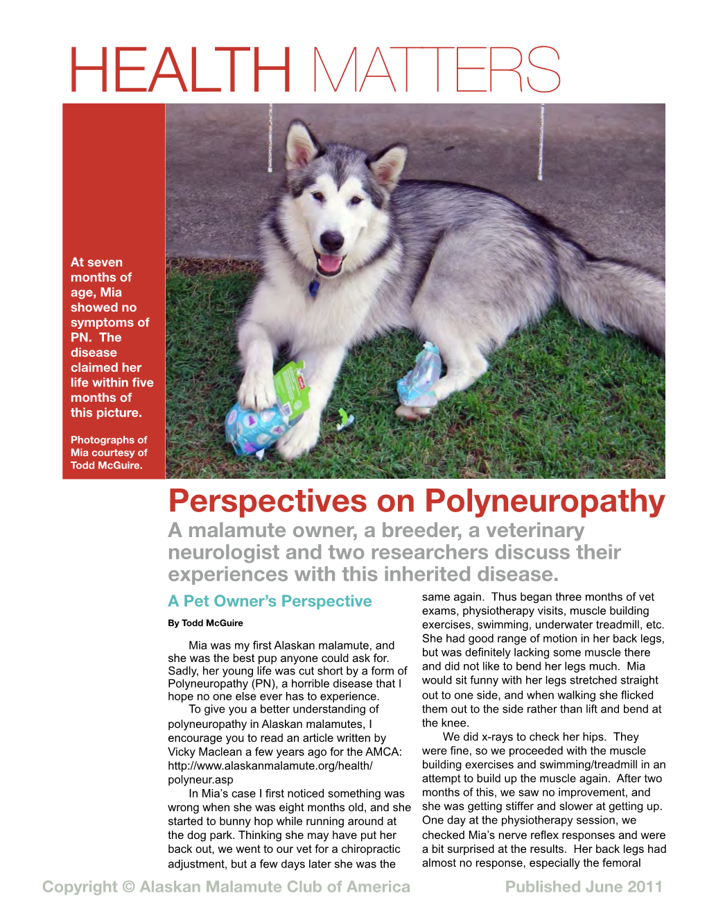 Health Matters – Perspectives on Polyneuropathy