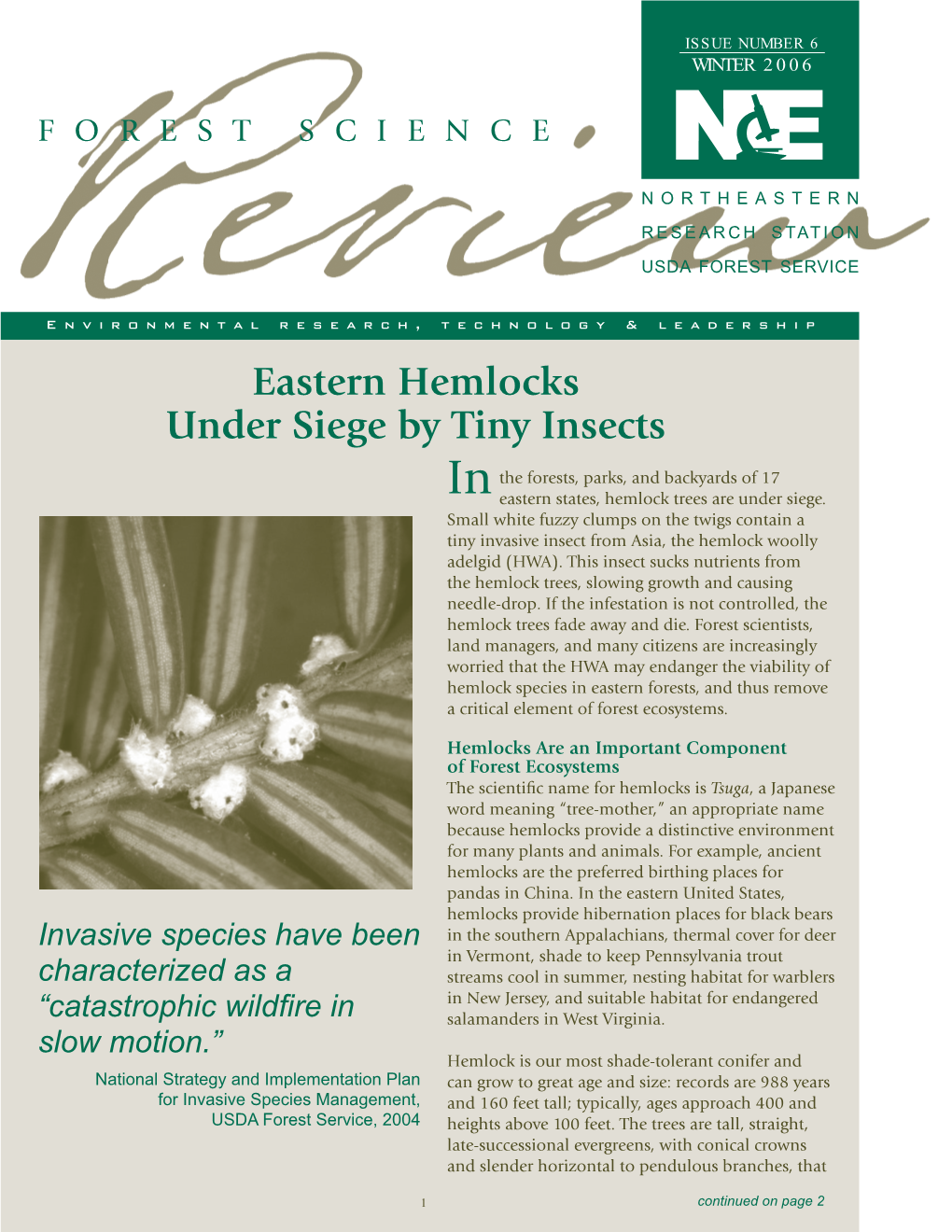 Eastern Hemlocks Under Siege by Tiny Insects