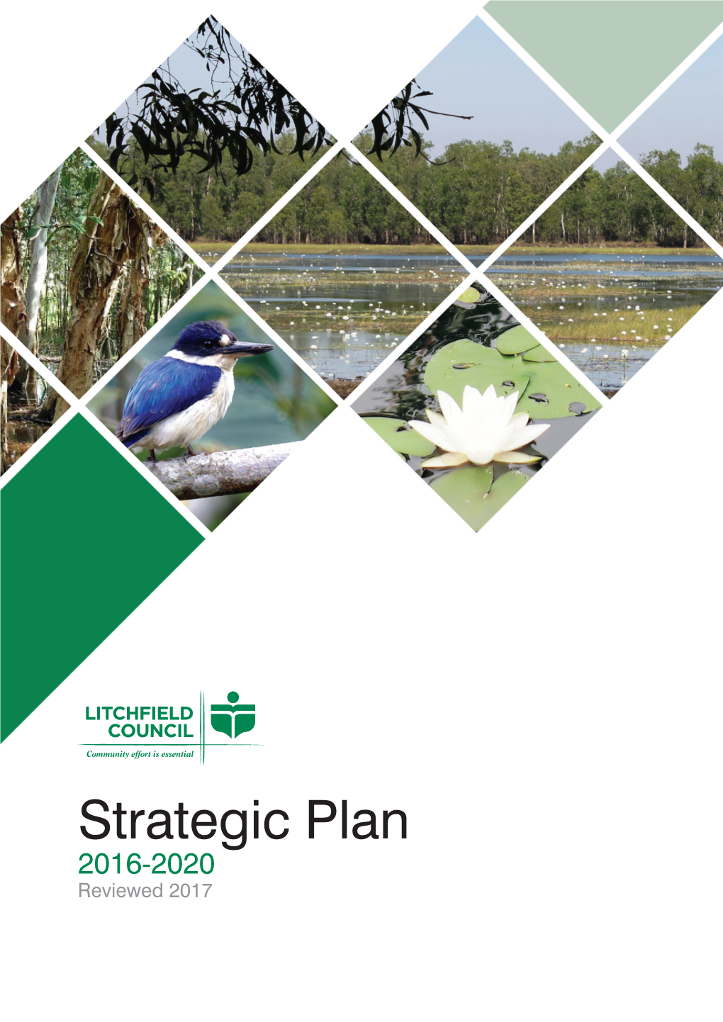 Strategic Plan 2016-2020 Reviewed 2017 Table of Contents