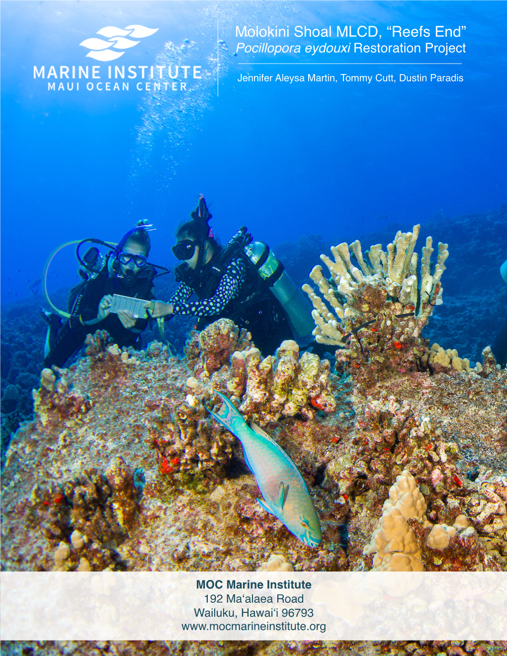 Molokini Shoal MLCD, “Reefs End” Pocillopora Eydouxi Restoration Project