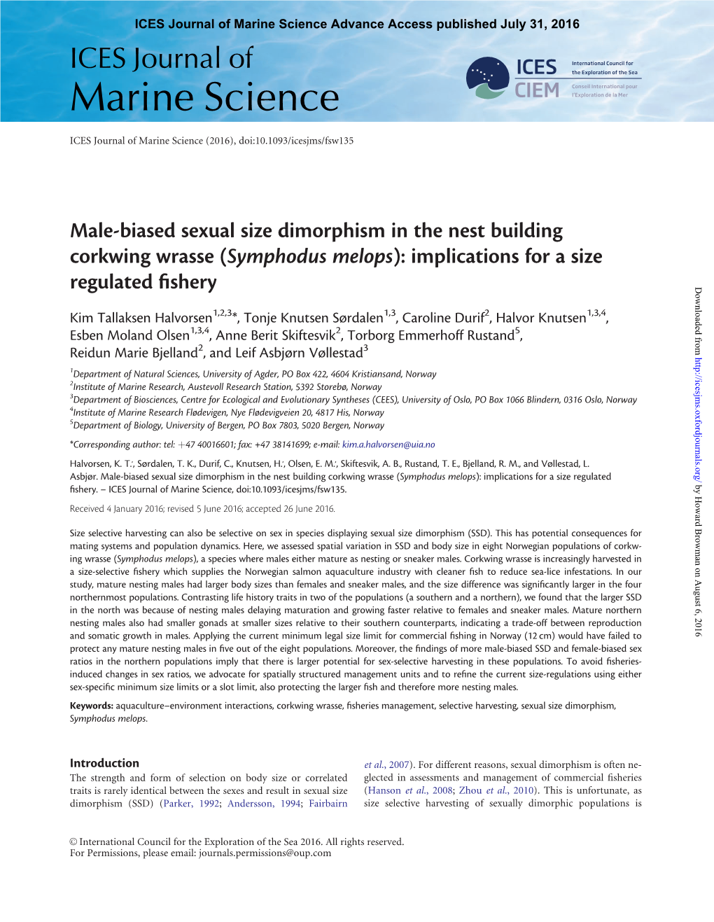 Symphodus Melops): Implications for a Size