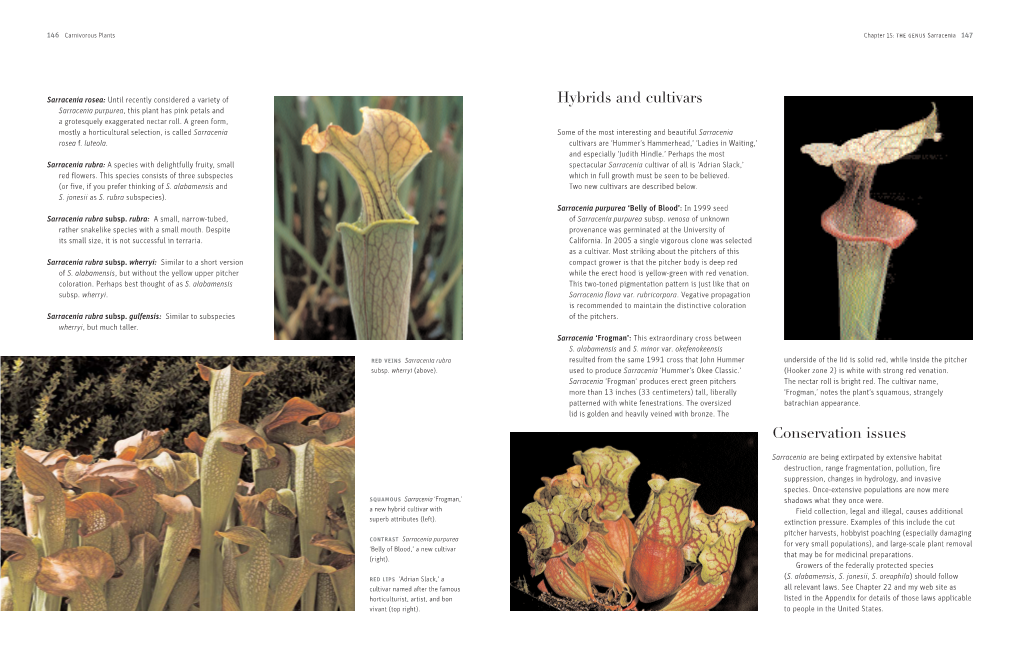 Hybrids and Cultivars Conservation Issues