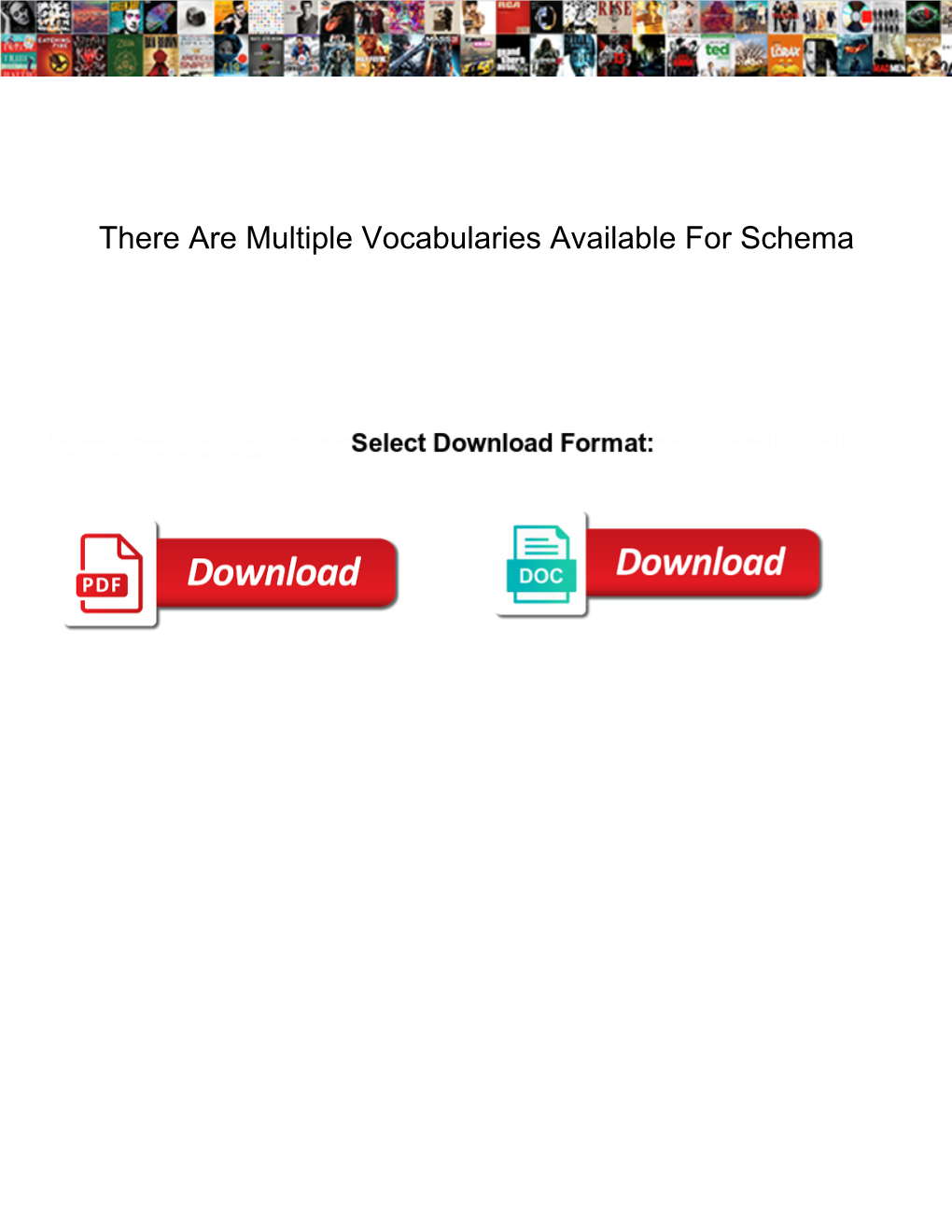 There Are Multiple Vocabularies Available for Schema