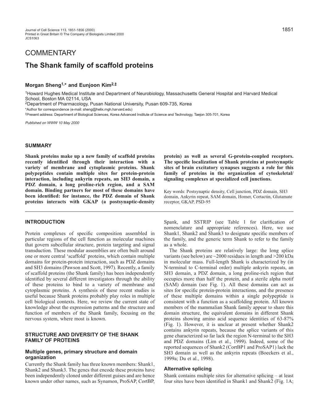 The Shank Family of Scaffold Proteins