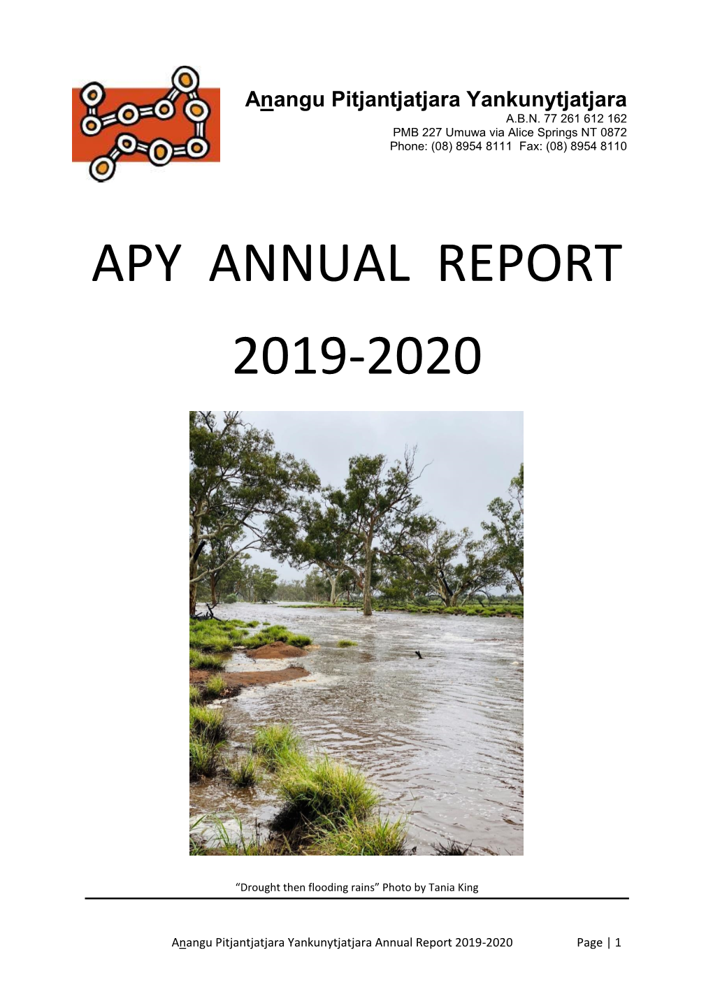 Apy Annual Report 2019-2020
