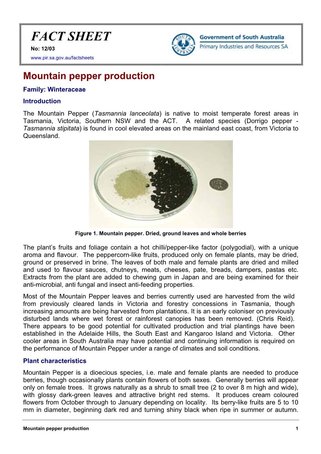 Mountain Pepper Production Family: Winteraceae Introduction