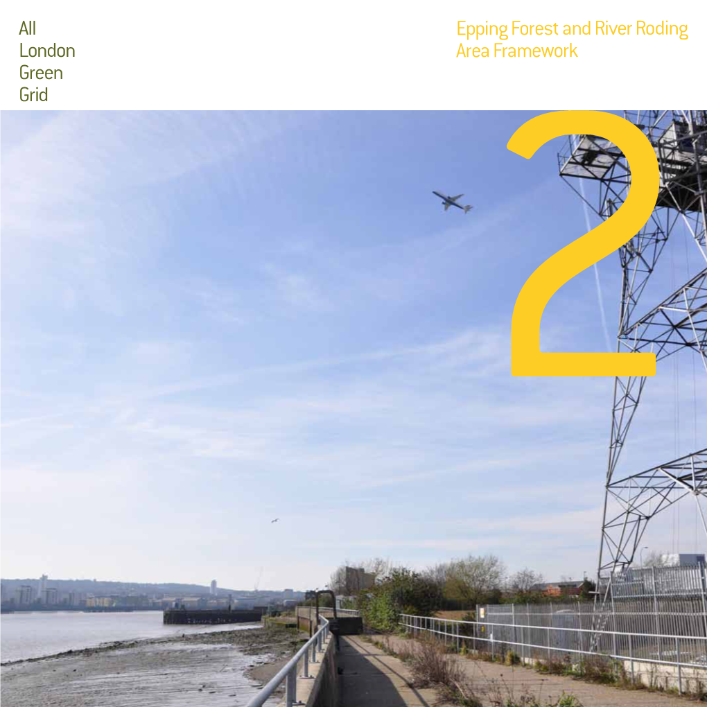 All London Green Grid Epping Forest and River Roding Area Framework