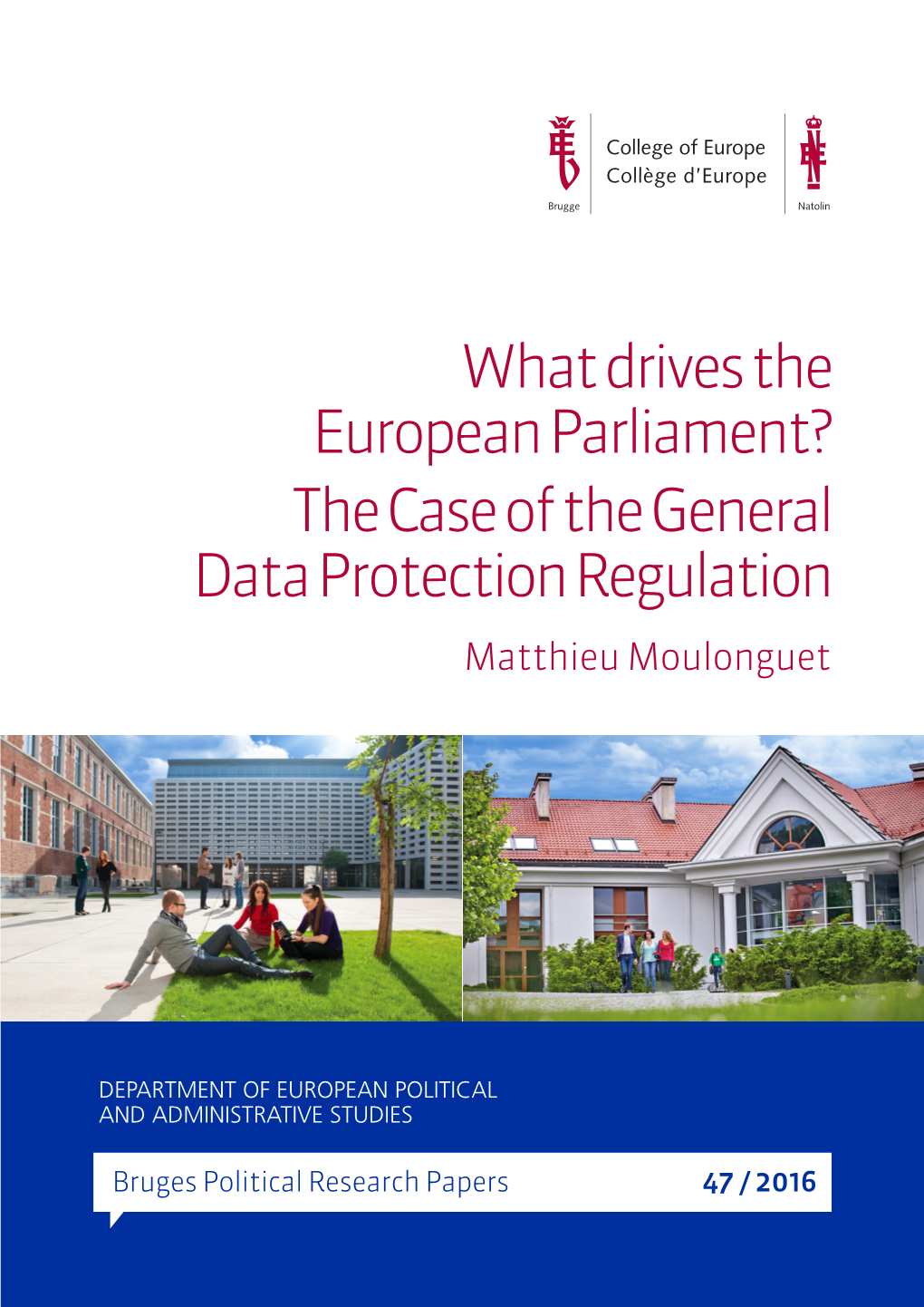 What Drives the European Parliament? the Case of the General Data Protection Regulation Matthieu Moulonguet