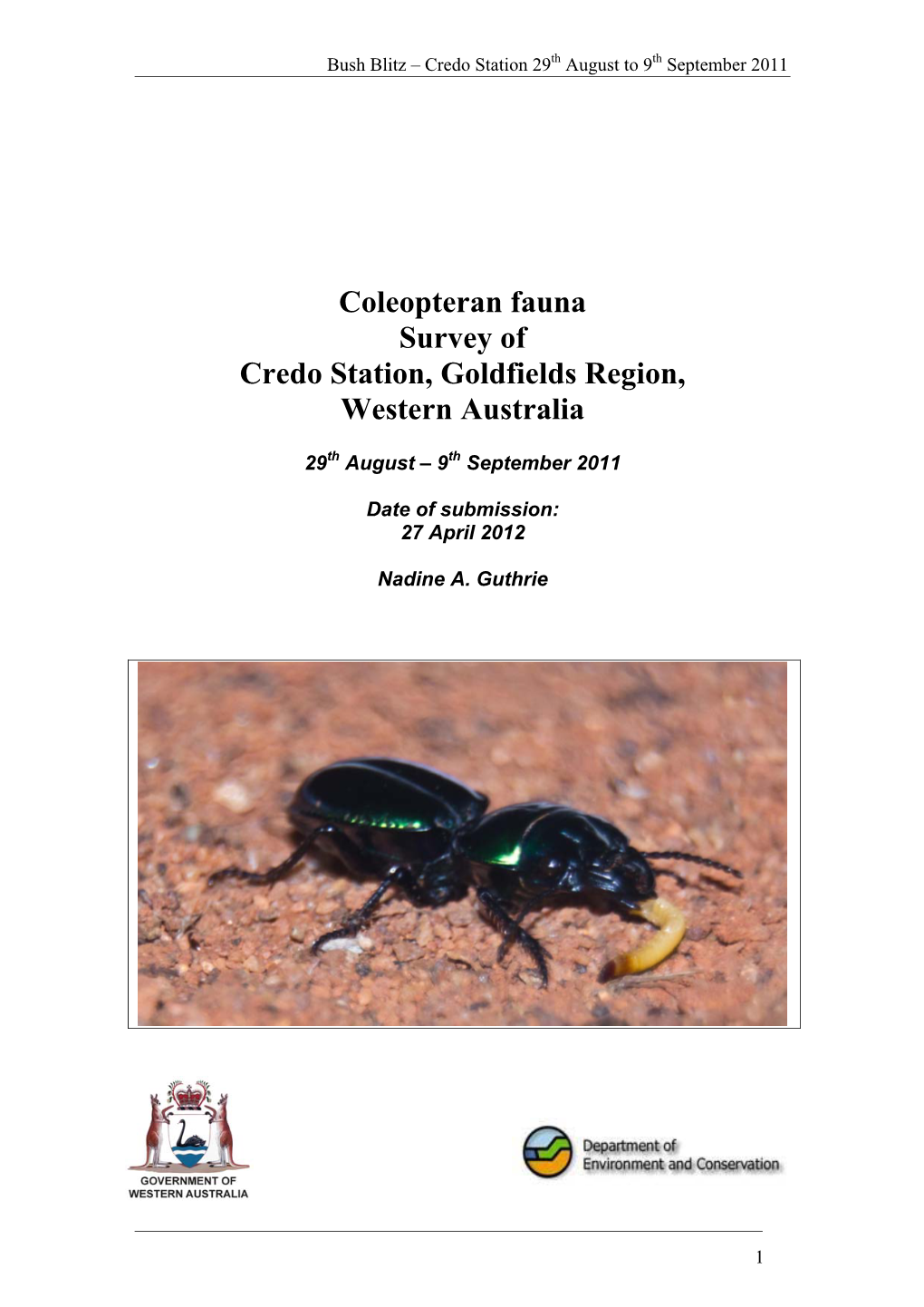 Coleopteran Fauna Survey of Credo Station, Goldfields Region, Western Australia