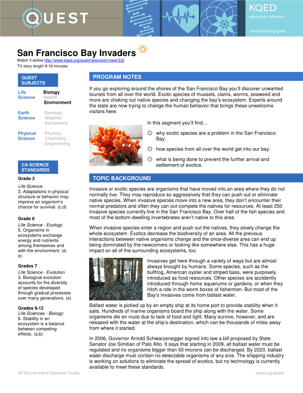 San Francisco Bay Invaders Watch It Online