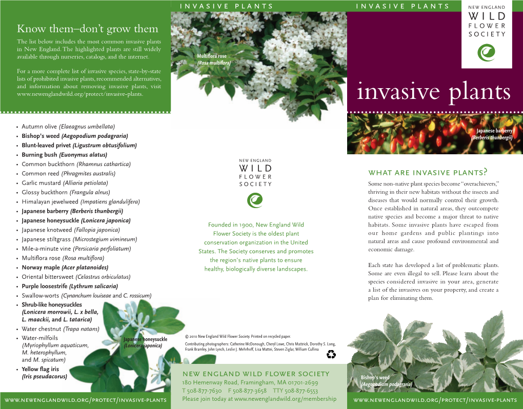 Invasive Plants Invasive Plants