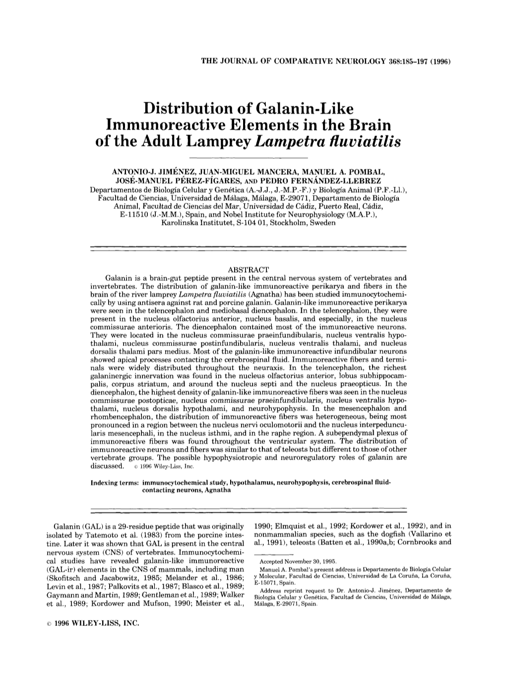 Distribution of Galanin-Like Immunoreactive Elements in the Brain of the Adult Lamprey Lampetra Fluviatilis