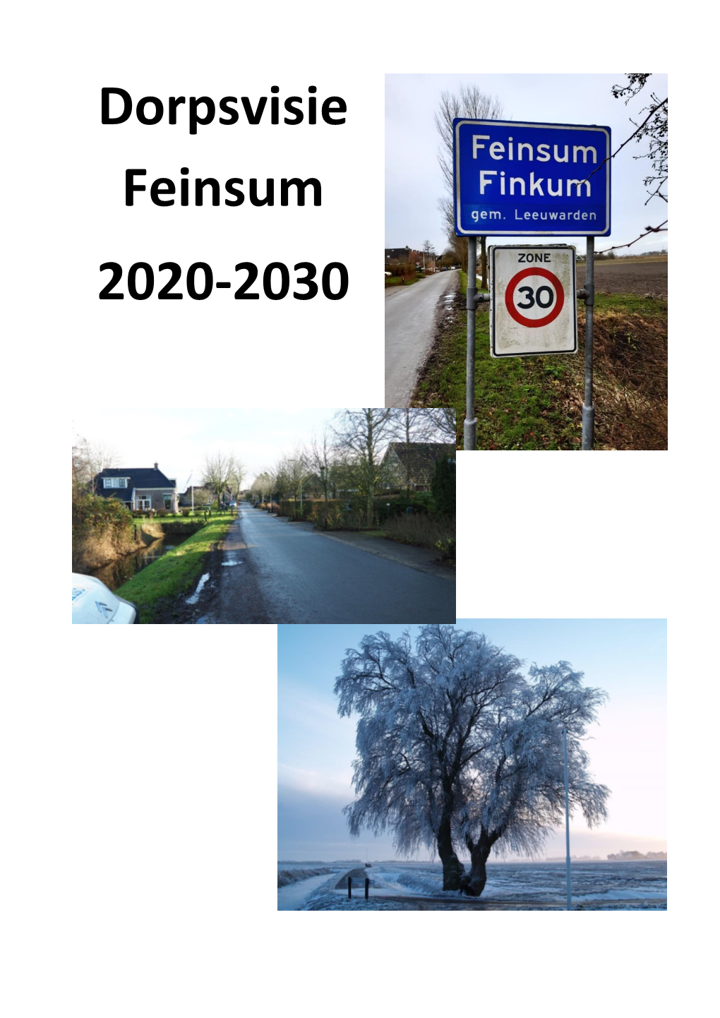 Dorpsvisie Feinsum 2020-2030