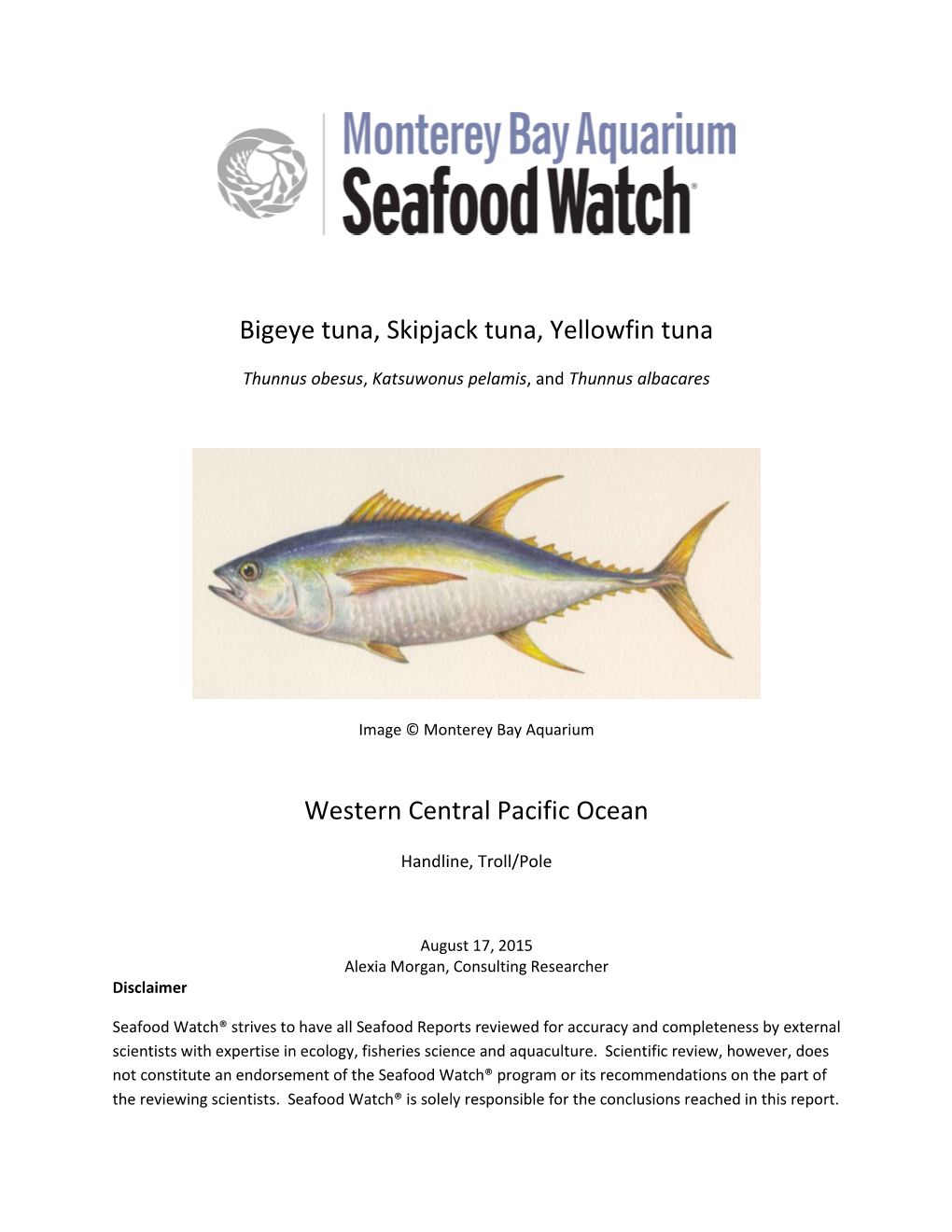 Bigeye Tuna, Skipjack Tuna, Yellowfin Tuna Western Central Pacific Ocean