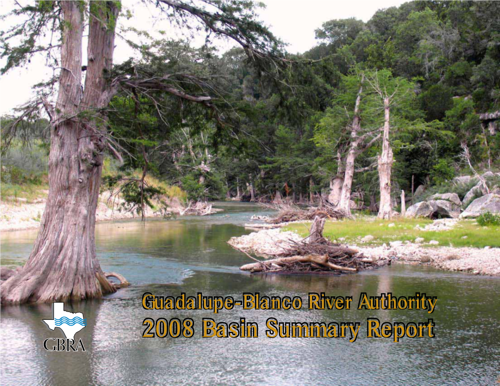 2008 Basin Summary Report Guadalupe River Basin Watersheds