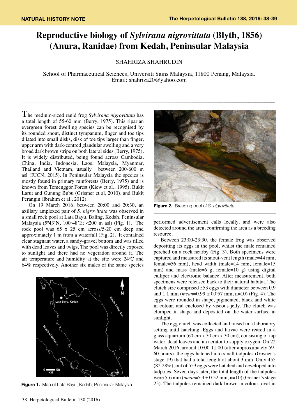 Reproductive Biology of Sylvirana Nigrovittata (Blyth, 1856) (Anura, Ranidae) from Kedah, Peninsular Malaysia