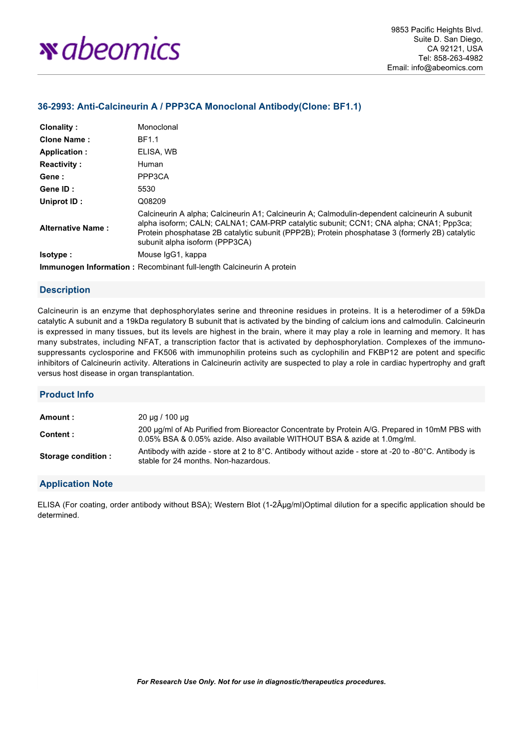 Anti-Calcineurin a / PPP3CA Monoclonal Antibody(Clone: BF1.1)