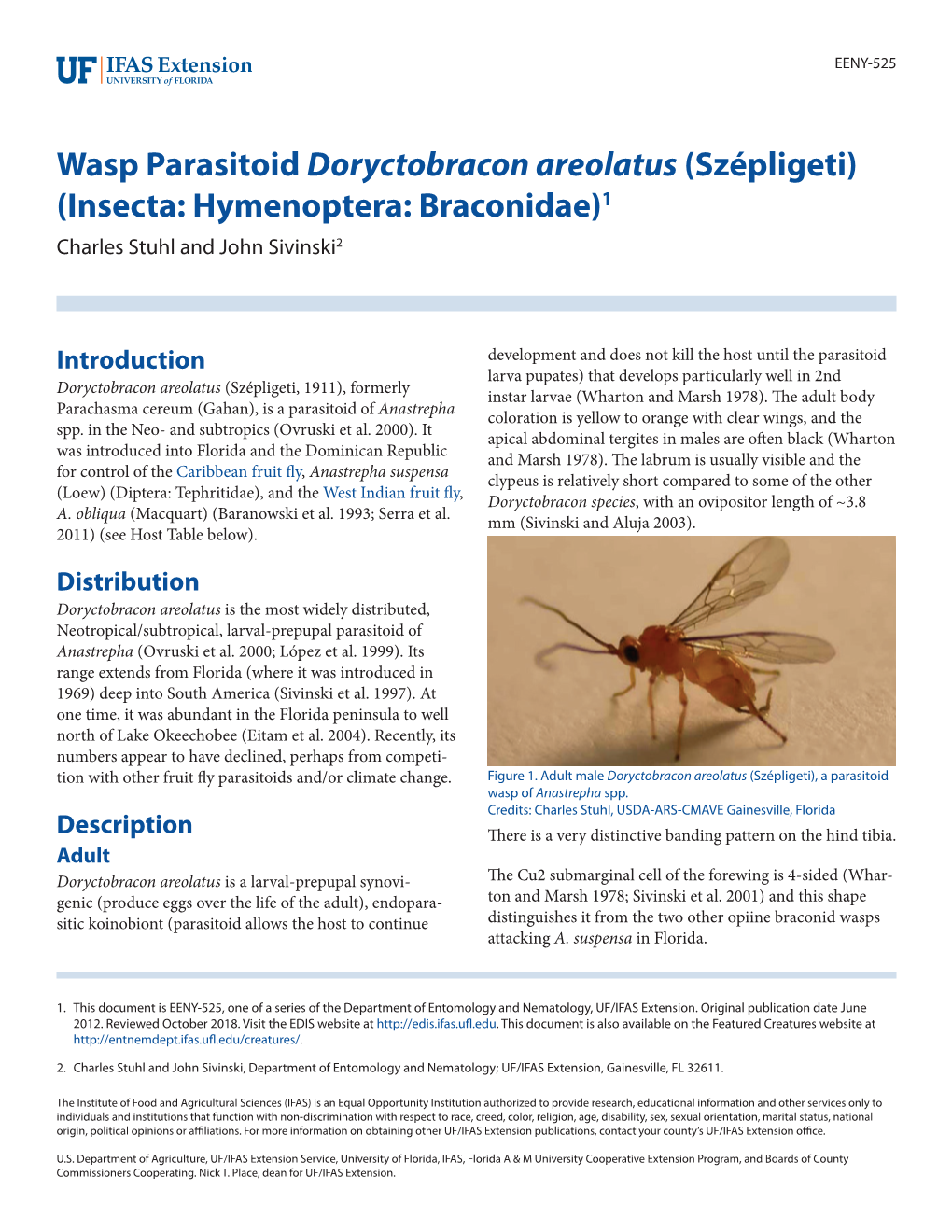 Wasp Parasitoid Doryctobracon Areolatus (Szépligeti) (Insecta: Hymenoptera: Braconidae)1 Charles Stuhl and John Sivinski2