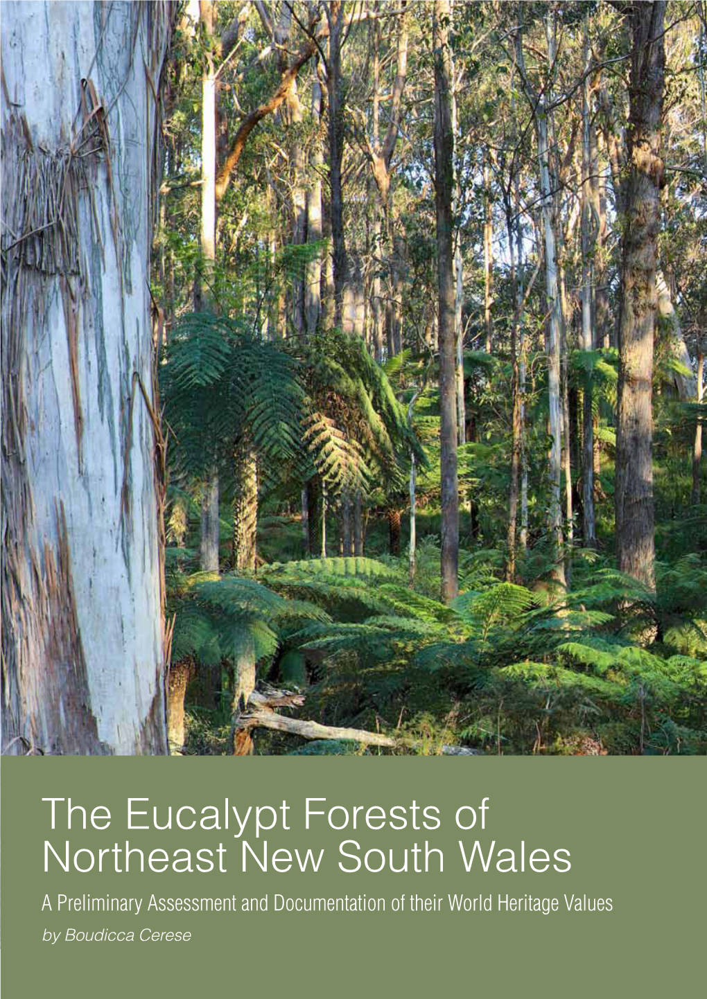 The Eucalypt Forests of Northeast New South Wales