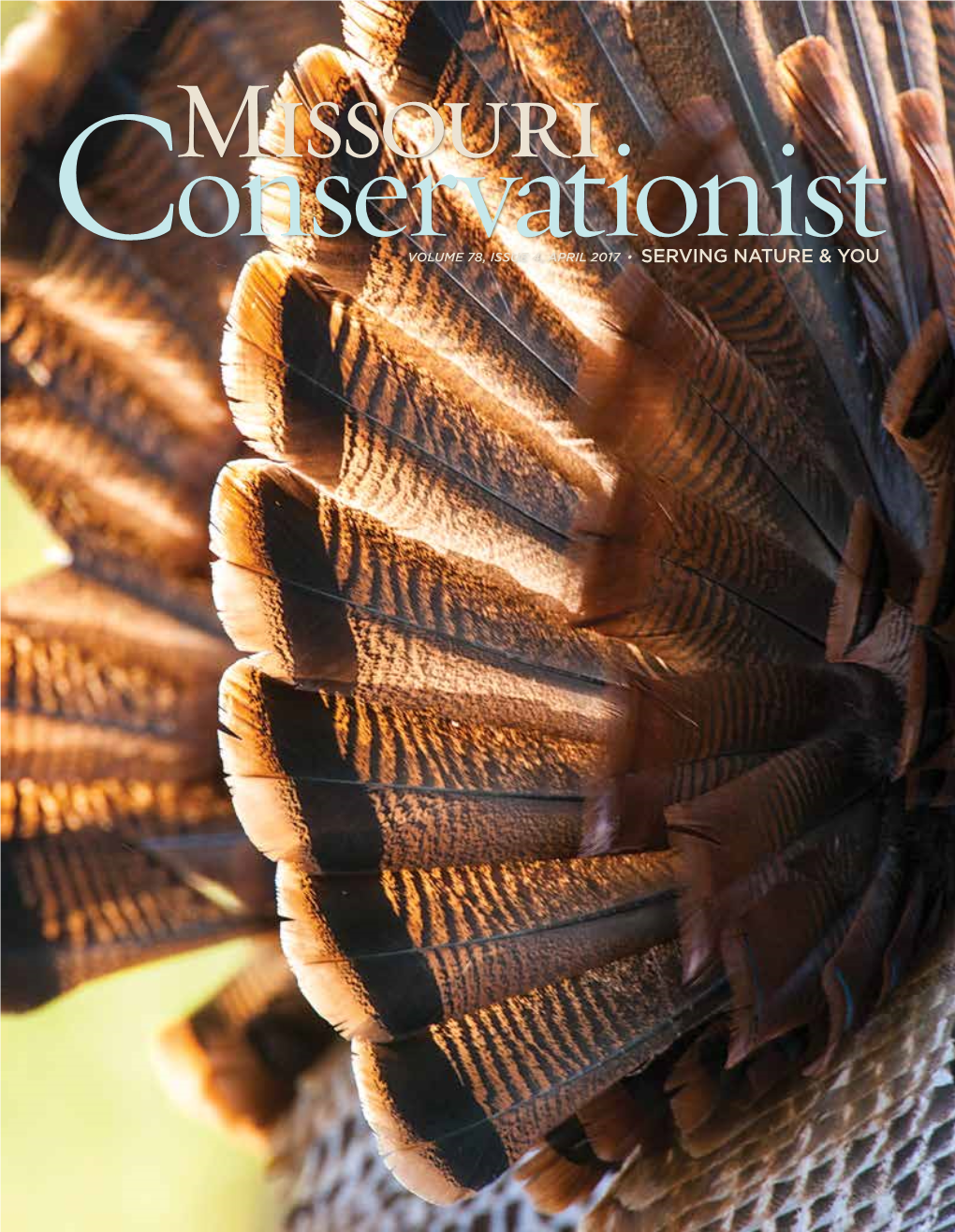 Missouri Conservationist April 2017 SUBSCRIPTIONS Missouri Phone: 573-522-4115, Ext