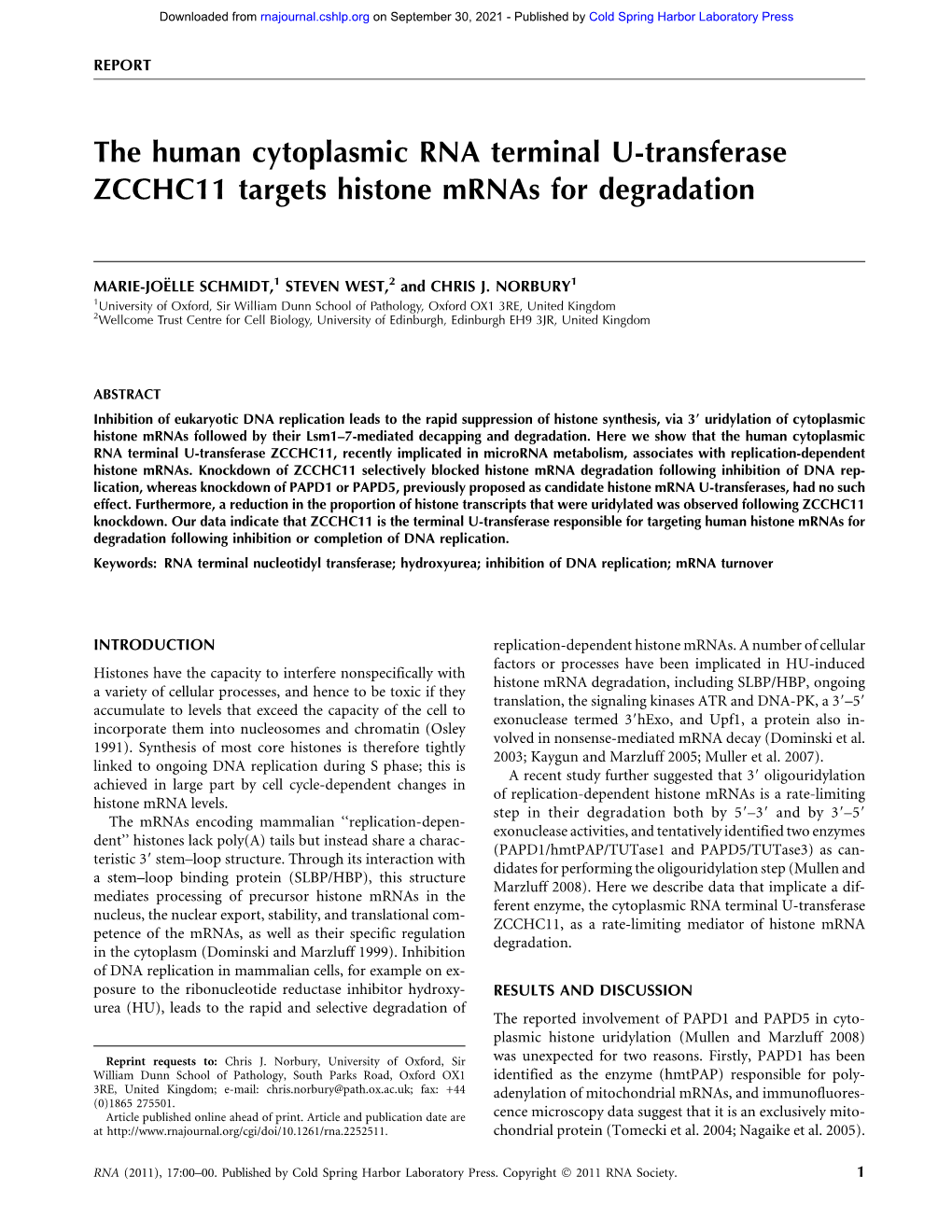 The Human Cytoplasmic RNA Terminal U-Transferase ZCCHC11 Targets Histone Mrnas for Degradation