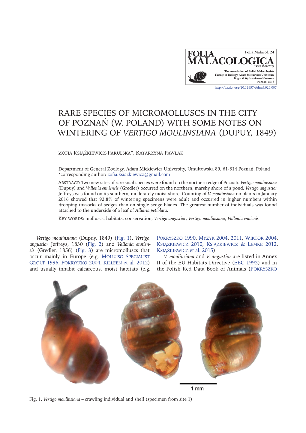 Rare Species of Micromolluscs in the City of Poznań (W. Poland) with Some Notes on Wintering of Vertigo Moulinsiana (Dupuy, 1849)
