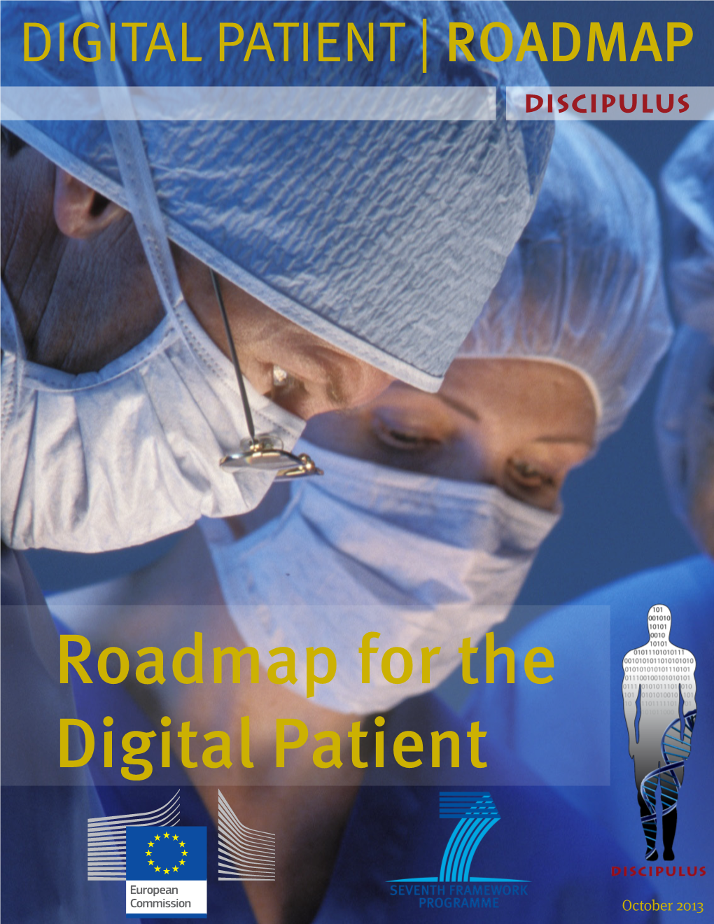 Digital Patient Roadmap