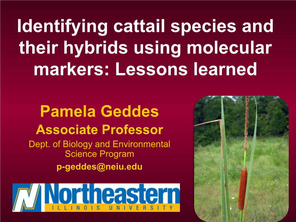 Identifying Cattail Species and Their Hybrids Using Molecular Markers: Lessons Learned