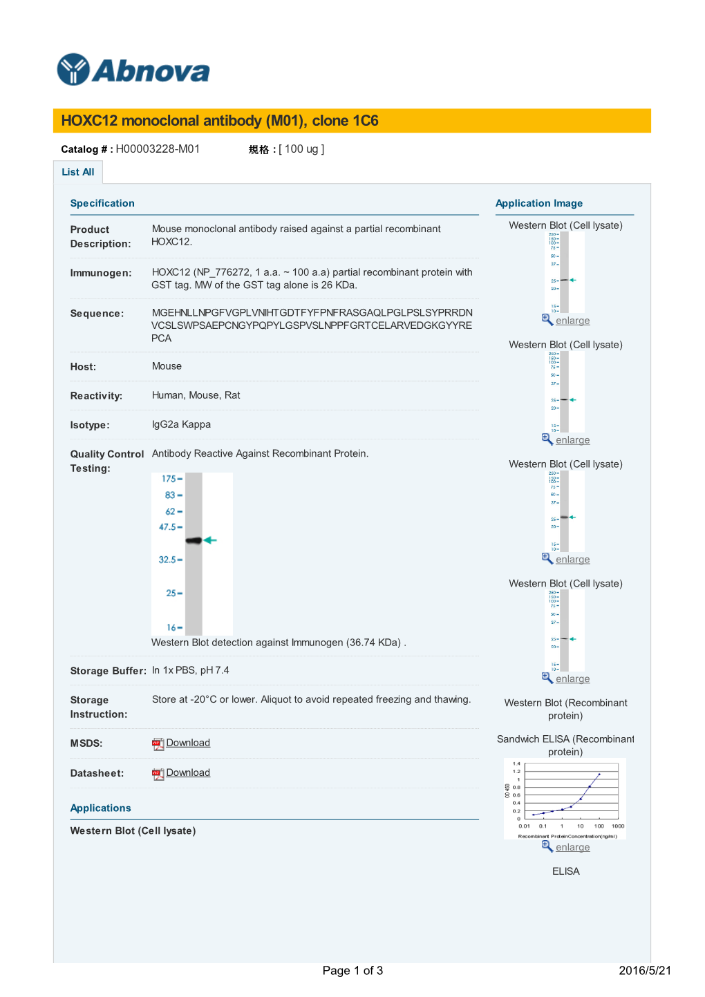 HOXC12 Monoclonal Antibody (M01), Clone 1C6
