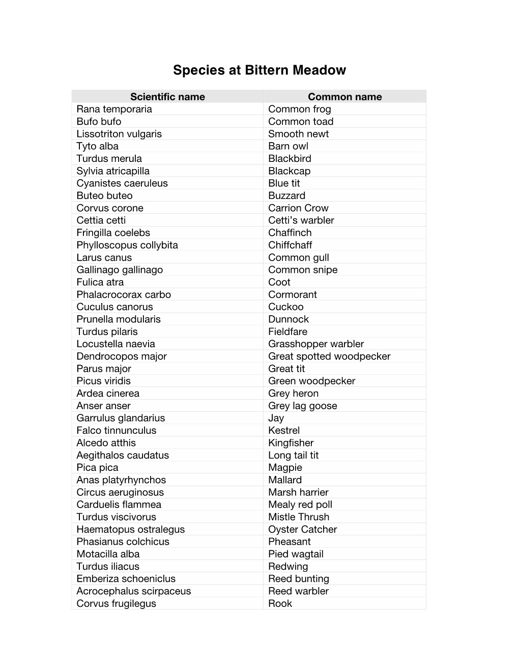 Species at Bittern Meadow