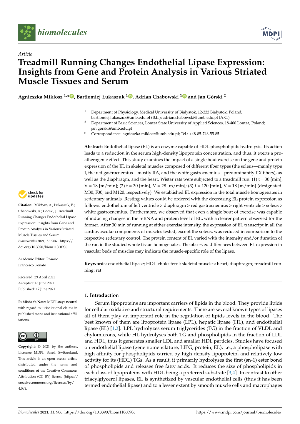 Treadmill Running Changes Endothelial Lipase Expression: Insights from Gene and Protein Analysis in Various Striated Muscle Tissues and Serum