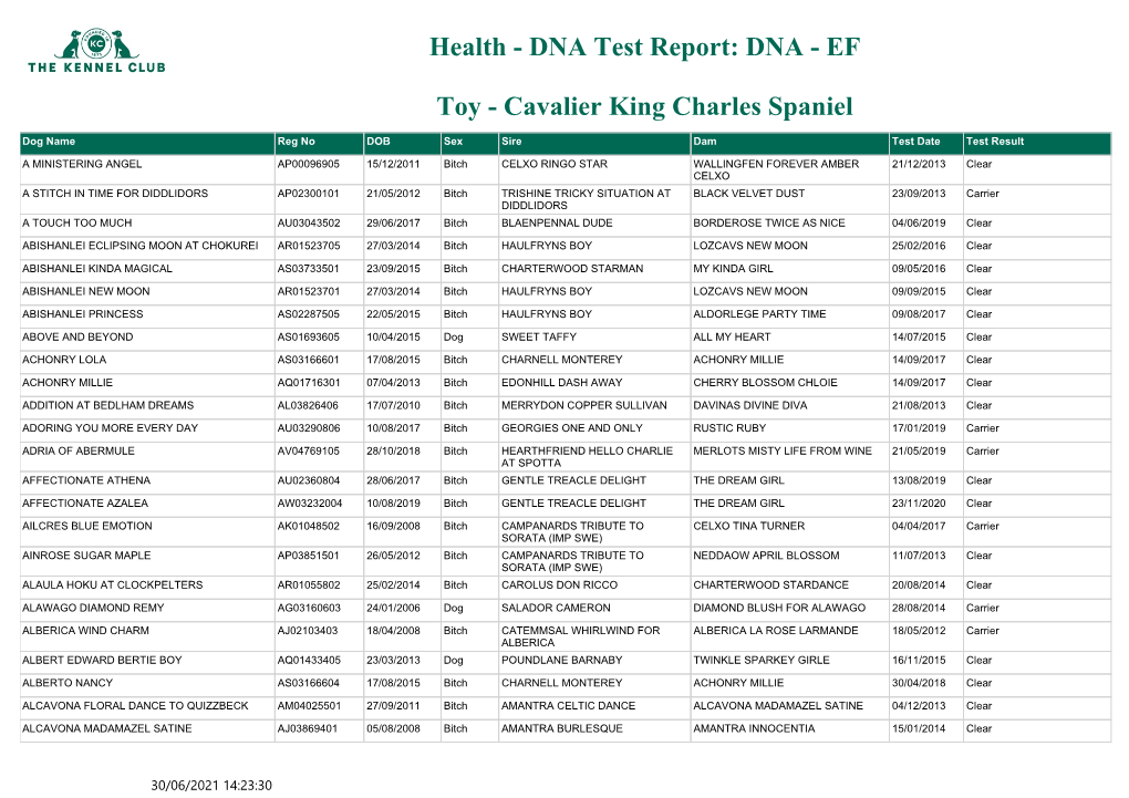 DNA Test Report: DNA - EF