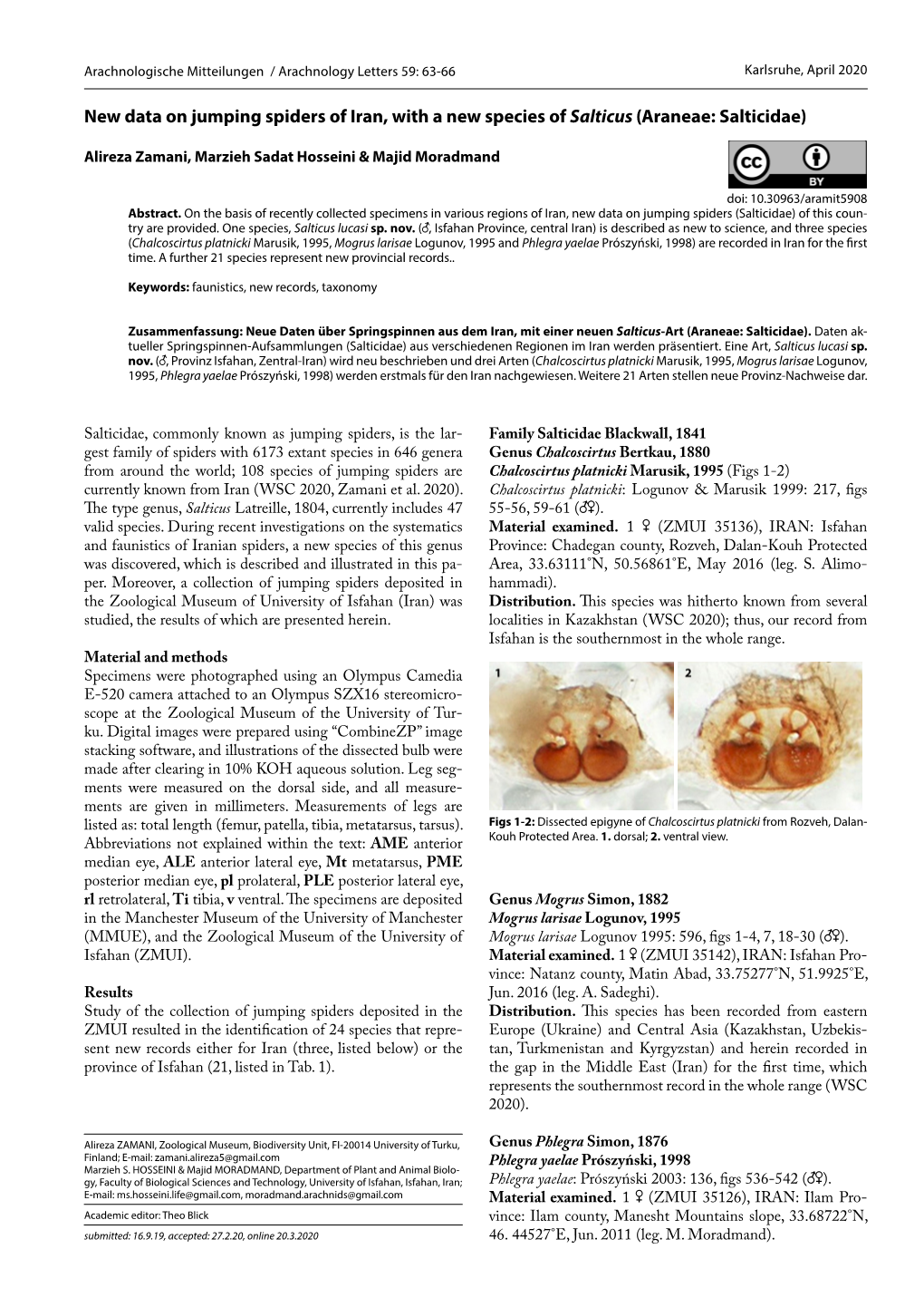 New Data on Jumping Spiders of Iran, with a New Species of Salticus (Araneae: Salticidae)