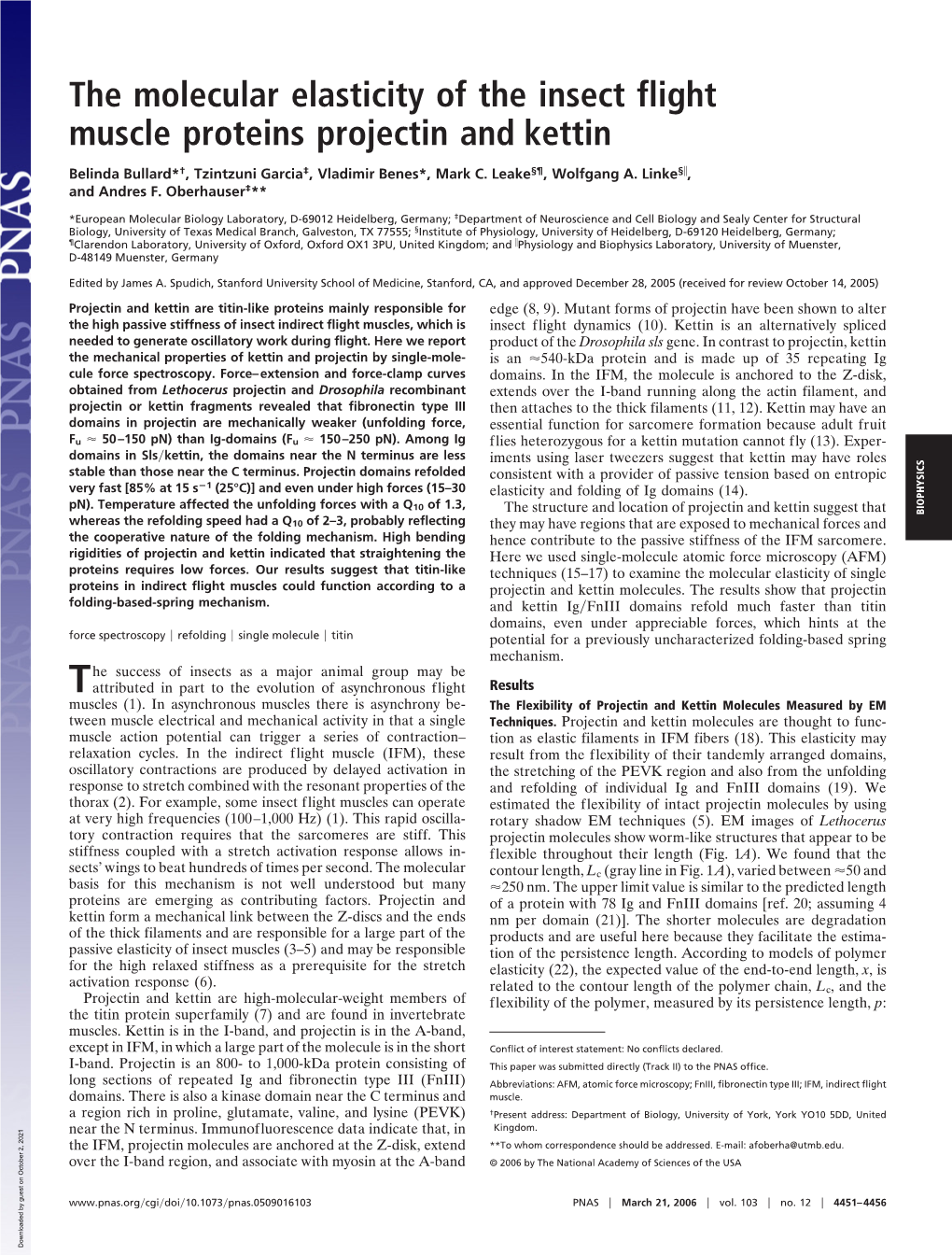 The Molecular Elasticity of the Insect Flight Muscle Proteins Projectin and Kettin