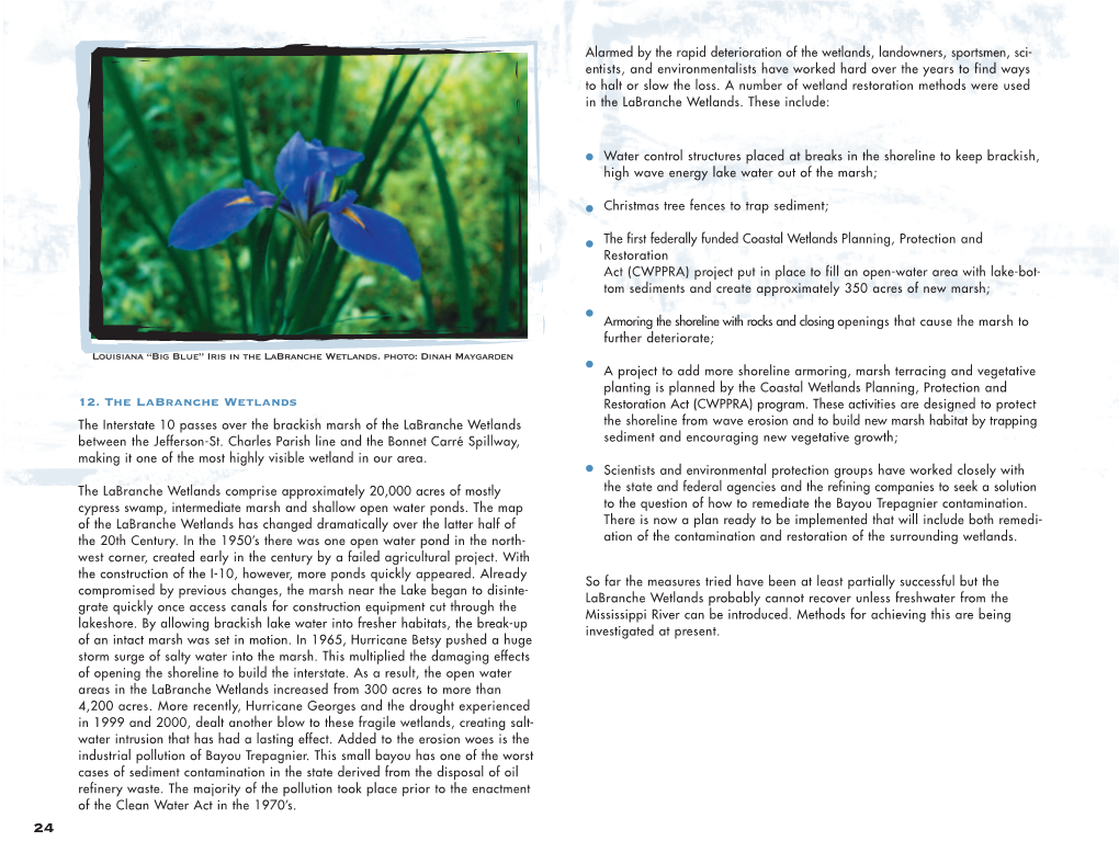 12. the Labranche Wetlands Restoration Act (CWPPRA) Program