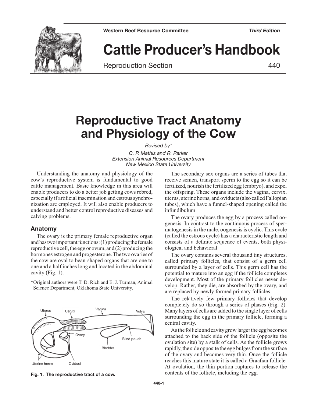 Cattle Producer's Handbook