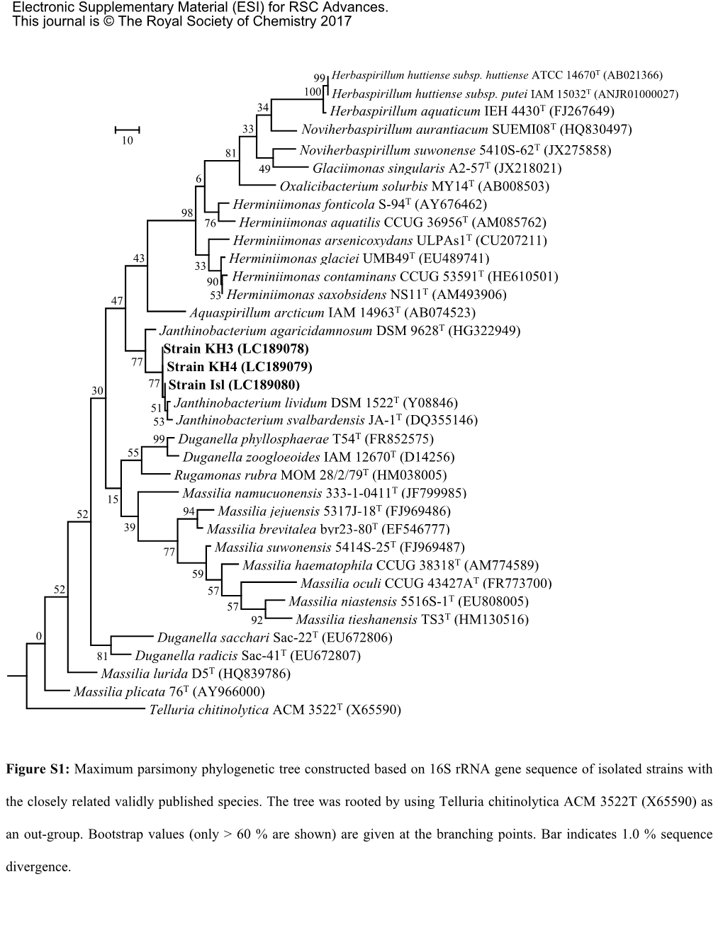 Maximum Parsimony Phylogenetic Tree Constructed Based on 16S Rrna Gene Sequence of Isolated Strains with the Closely Related Validly Published Species