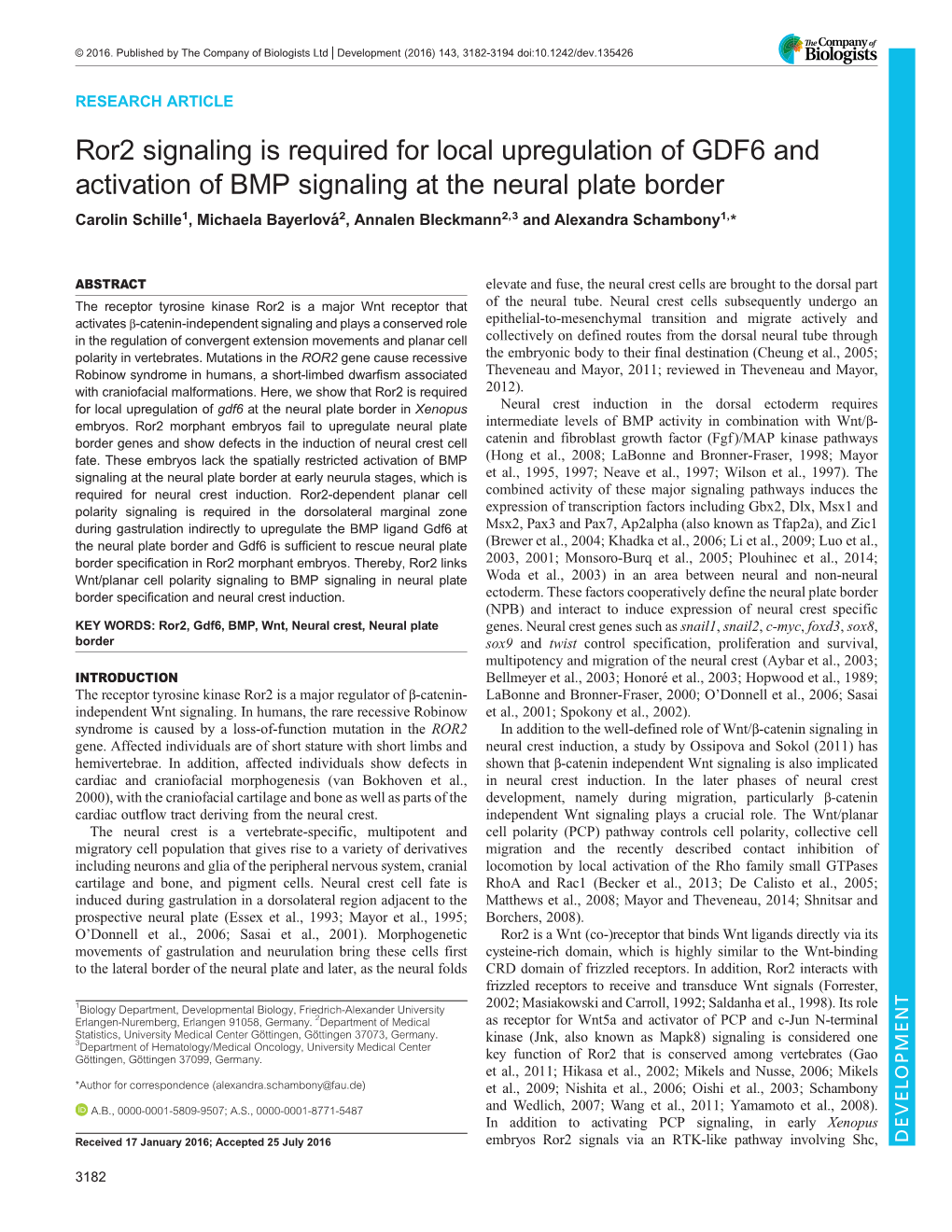 Ror2 Signaling Is Required for Local Upregulation of GDF6 and Activation of BMP Signaling at the Neural Plate Border