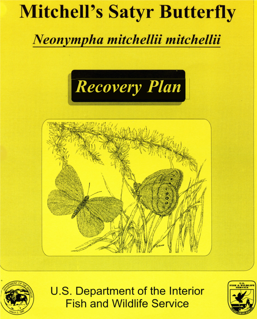 Mitchell's Satyr Recovery Plan