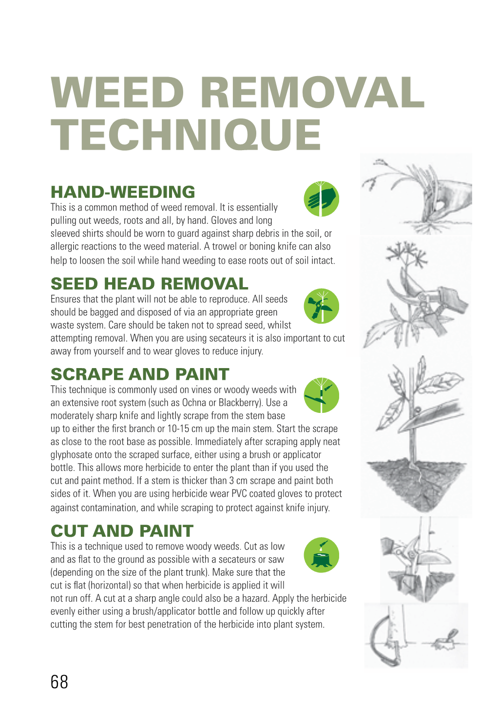 Weed Removal Techniques, Glossary