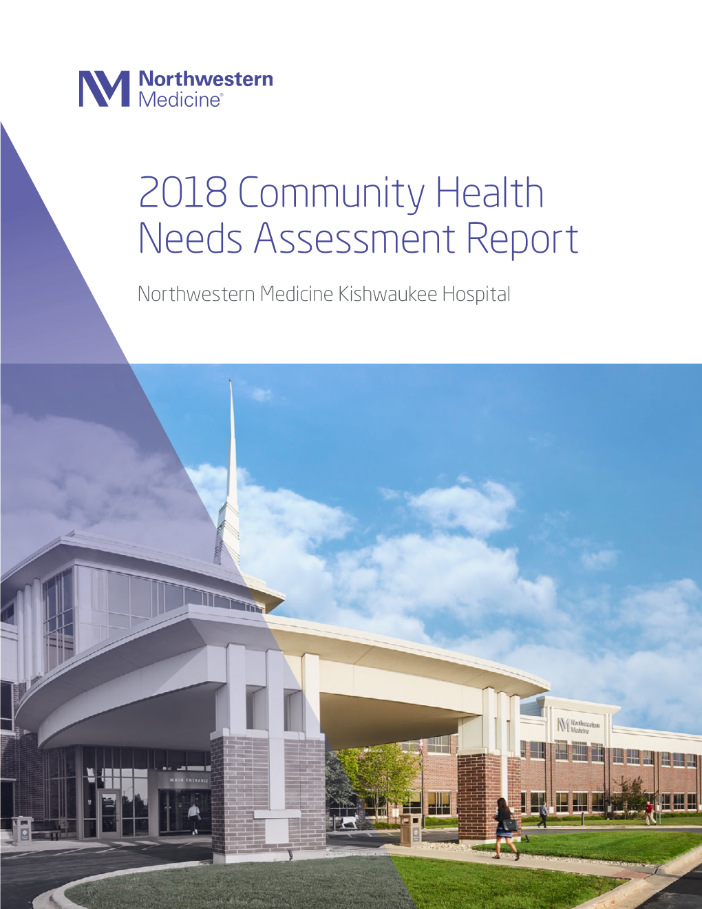 2018 Community Health Needs Assessment Report