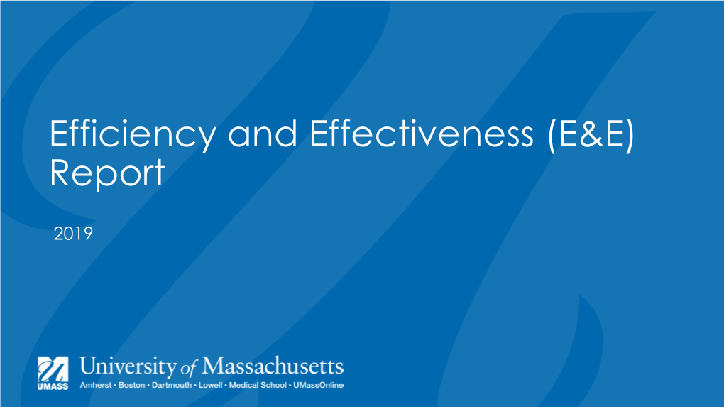 2019 Efficiency & Effectiveness Report