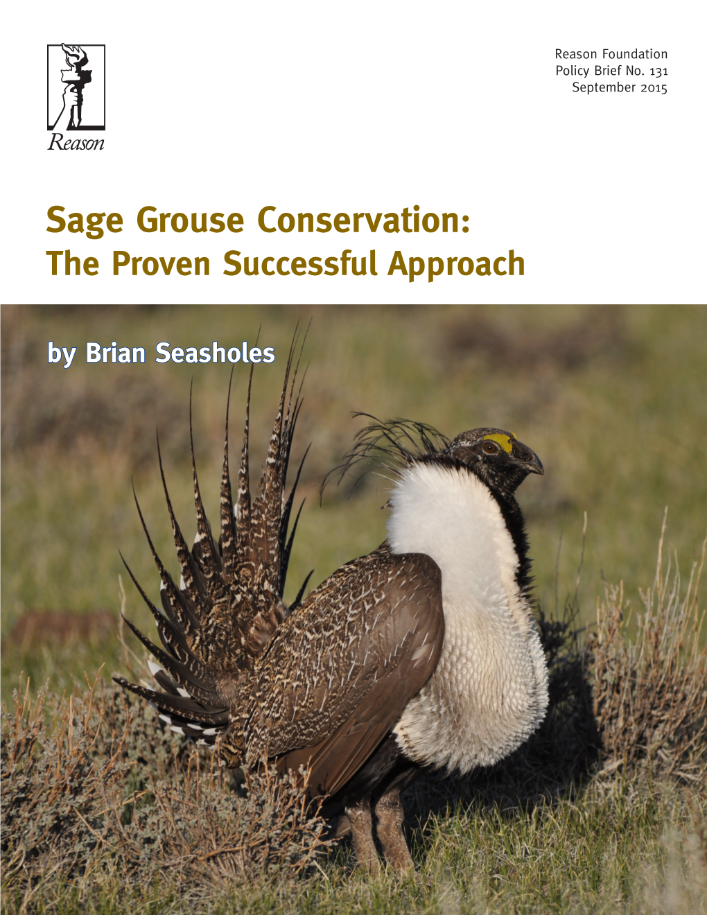 The Sage Grouse Conservation