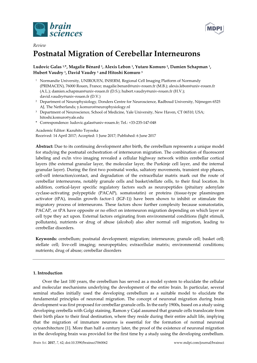 Postnatal Migration of Cerebellar Interneurons