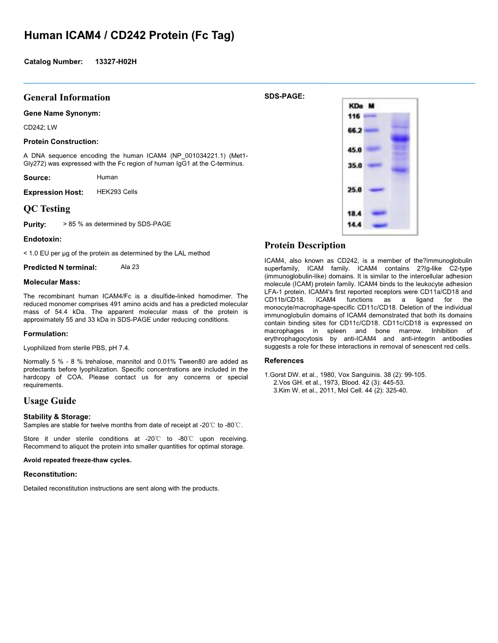 Human ICAM4 / CD242 Protein (Fc Tag)