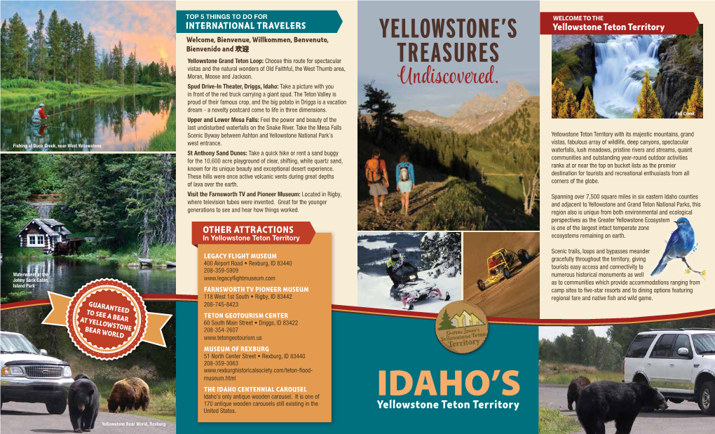 Yellowstone's Treasures